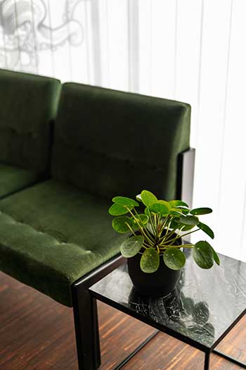 Salon Martina Wartebereich Couch